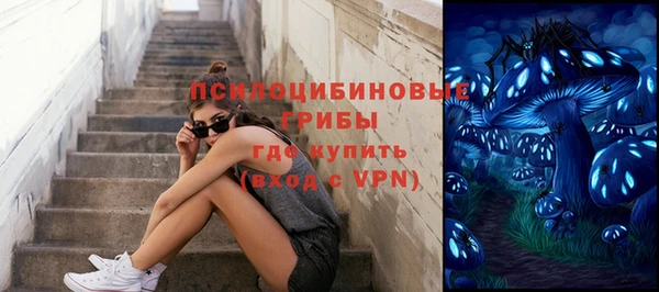 первитин Белокуриха