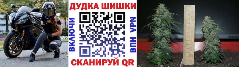Бошки марихуана MAZAR Малмыж
